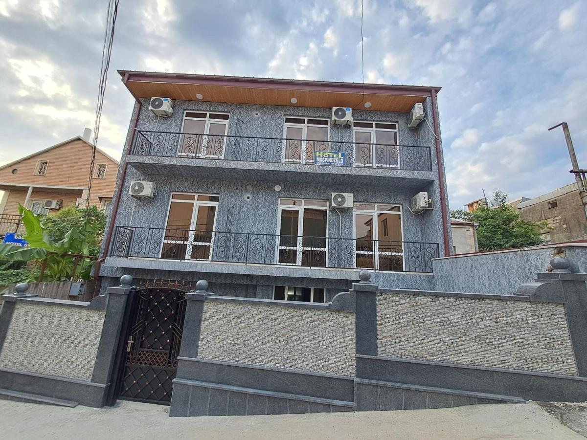Hotel Maspindzelo كوتايسي المظهر الخارجي الصورة